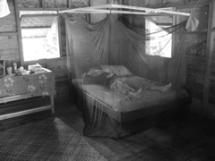 IMG_3951