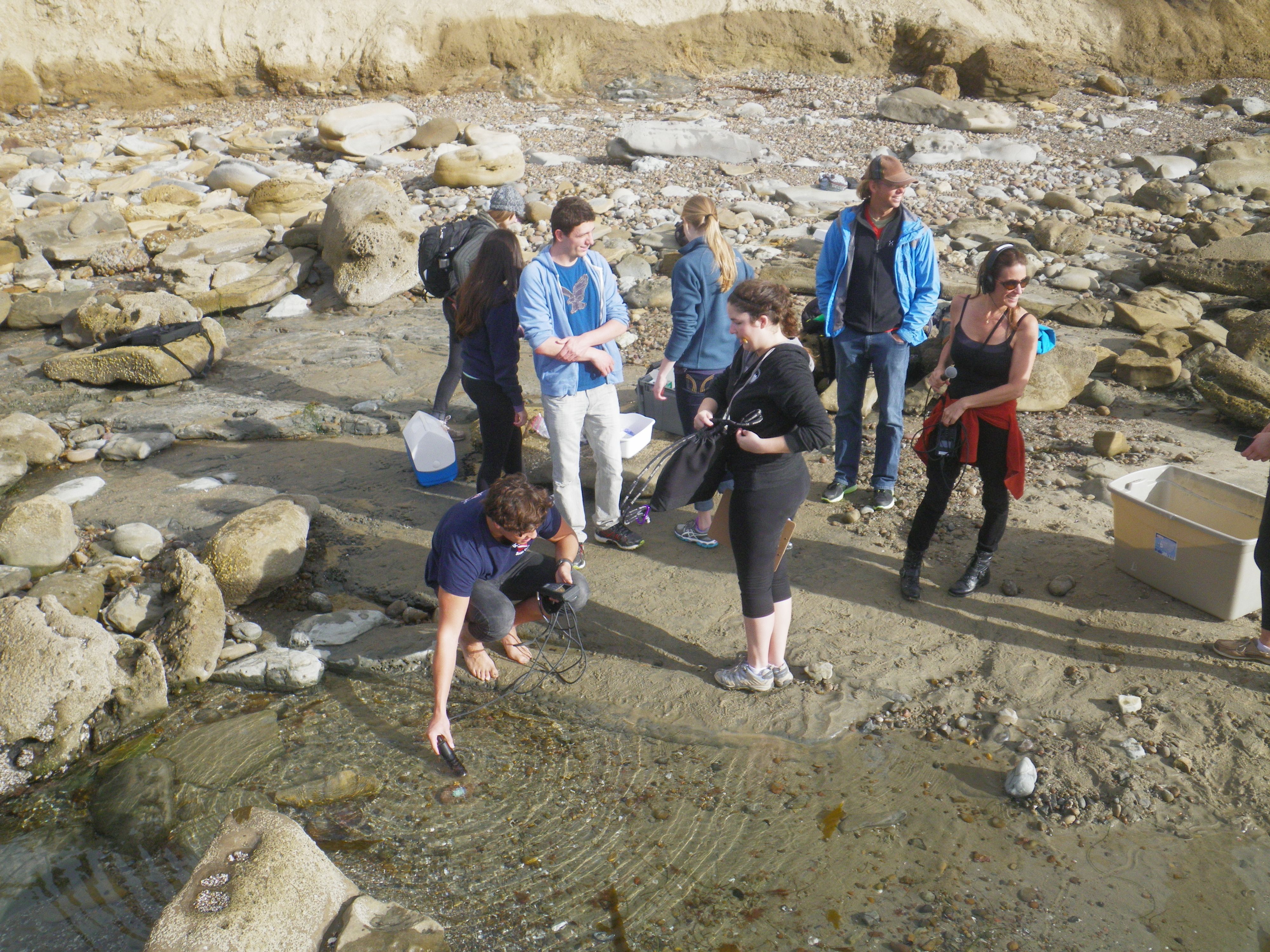 tide pool sampling