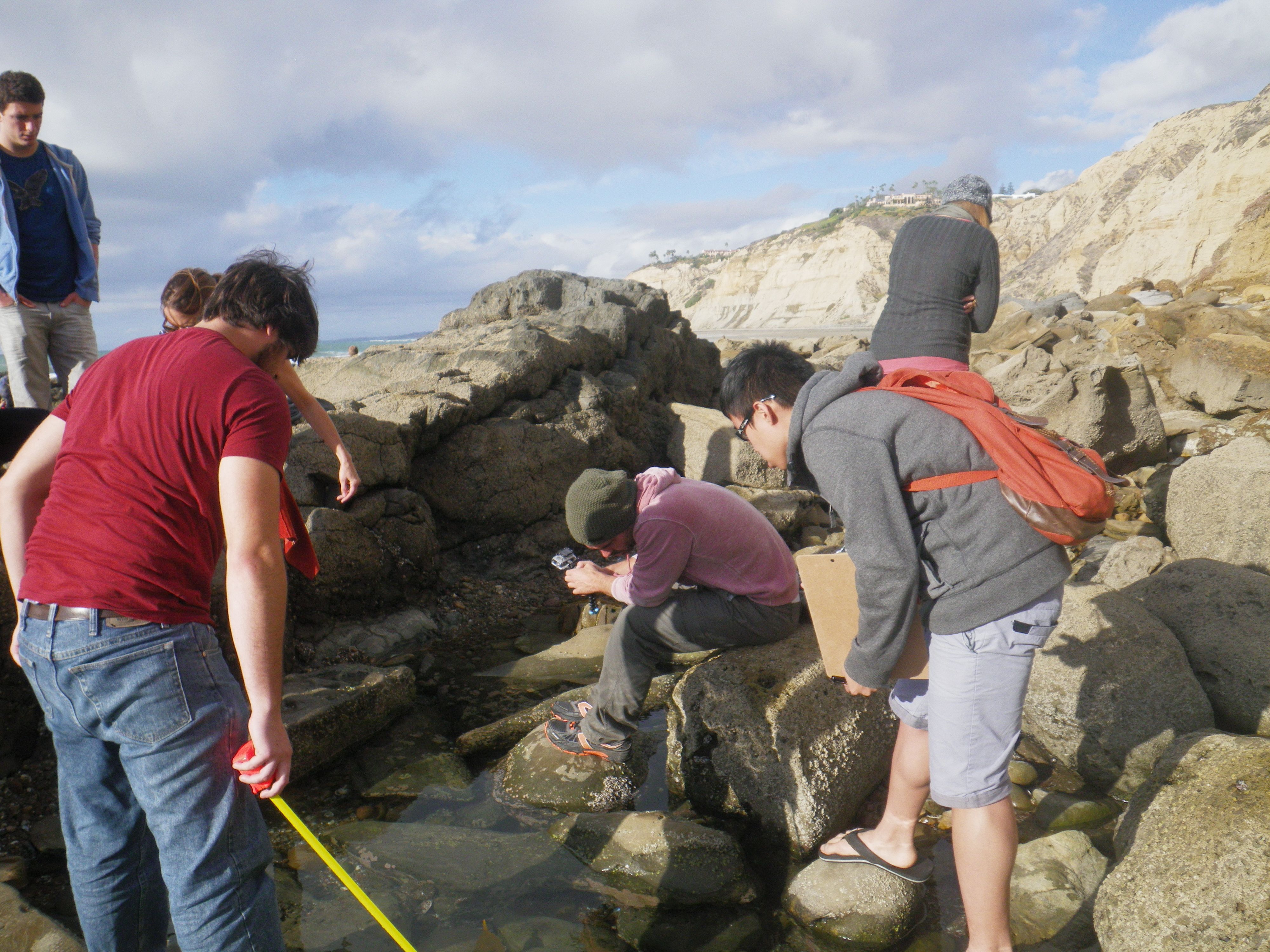 tide pool sampling