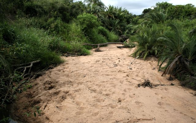 A dry river bed: 