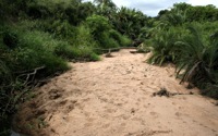 A dry river bed: 