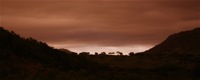 It's about sunset time in the African safari: 